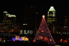 ZIlker Tree, Photo by Steve Wampler, used with permission